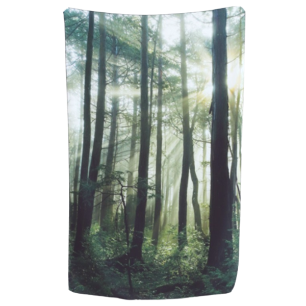 [S급 리퍼] Repackaging 숲속 여행 쉬폰 패브릭포스터 겸 가리개커튼 + 엽서 그린 90 x 145 cm